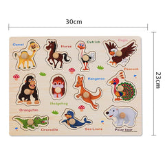 3D Wooden Montessori Puzzle for Kids