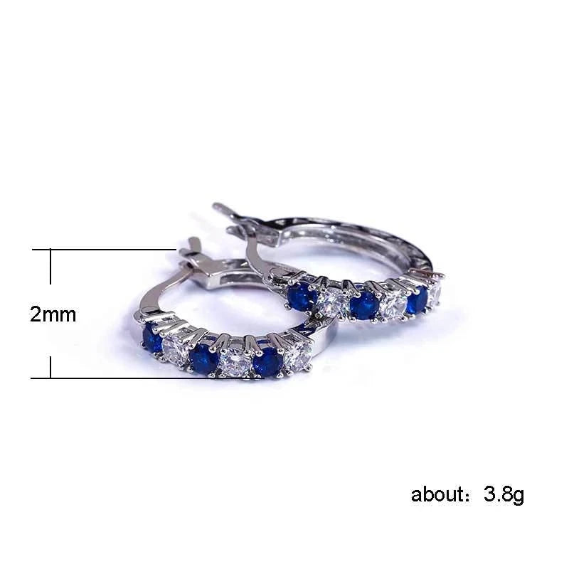 925 Sterling Silver Zircon Stud Earrings for Women