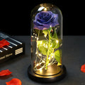 Galaxy Rose with Fairy Lights in Dome – Perfect Gift