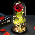 Galaxy Rose with Fairy Lights in Dome – Perfect Gift