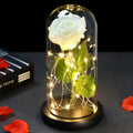 Galaxy Rose with Fairy Lights in Dome – Perfect Gift