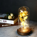 Galaxy Rose with Fairy Lights in Dome – Perfect Gift