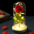 Galaxy Rose with Fairy Lights in Dome – Perfect Gift